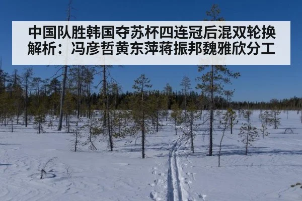 中国队胜韩国夺苏杯四连冠后混双轮换解析：冯彦哲黄东萍蒋振邦魏雅欣分工